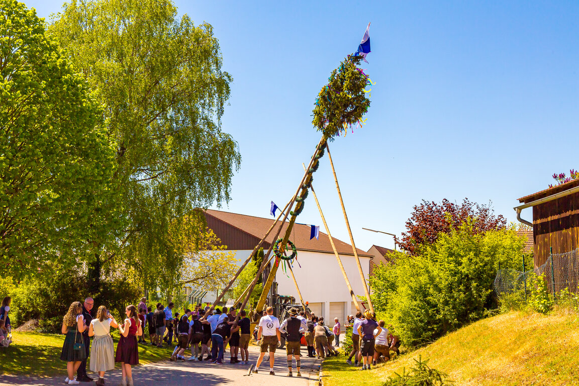 Image: _JA 31177 Maifest Hohenried 2026.jpg